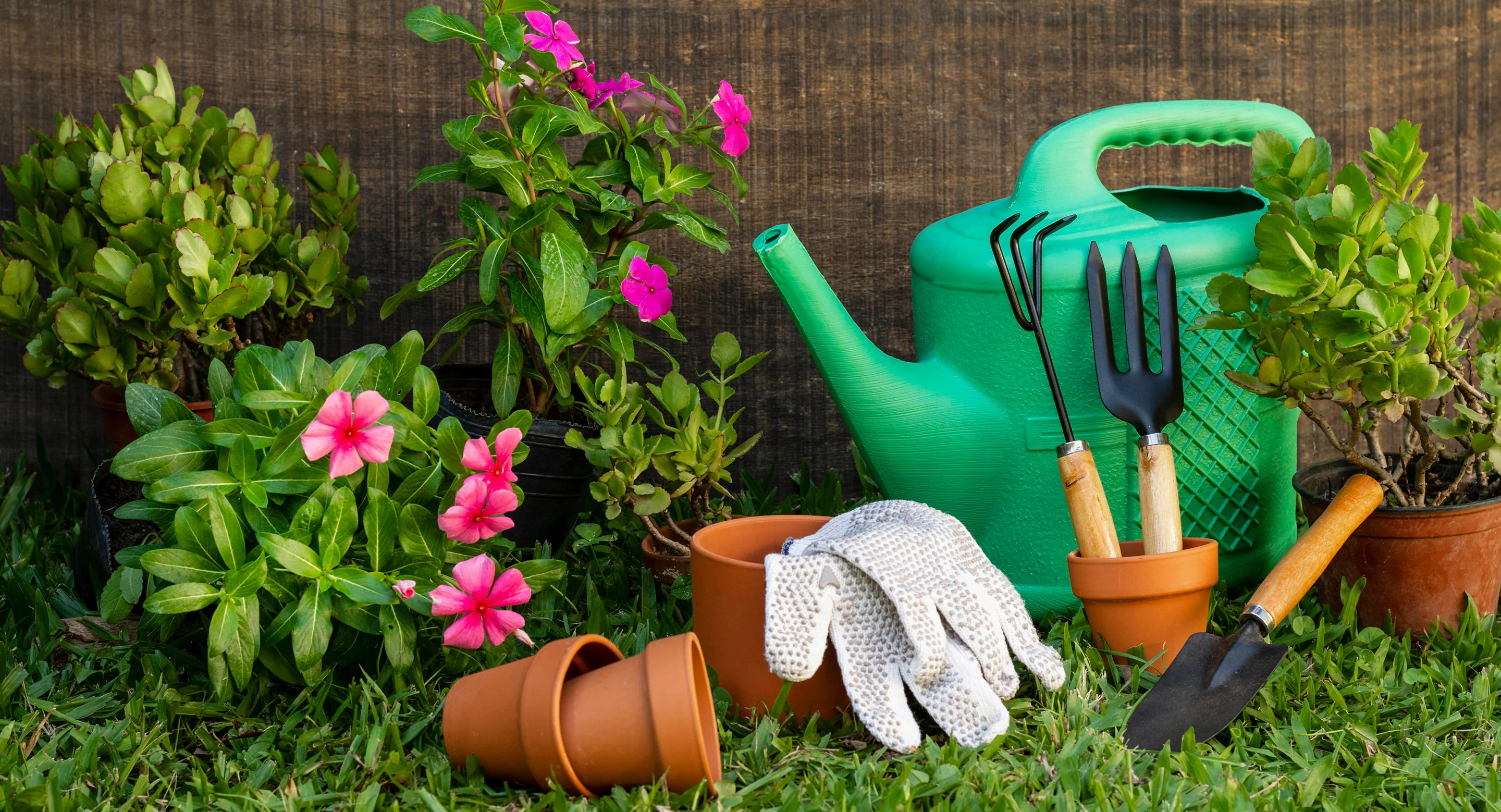 Bring Your Garden to Life